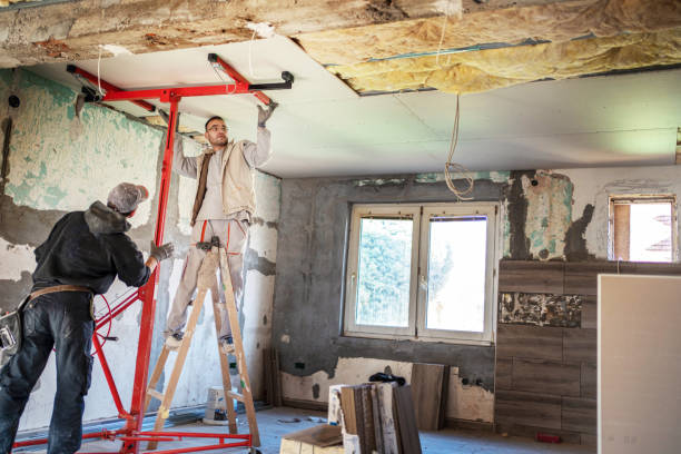 Best Insulation Removal  in Lake Success, NY