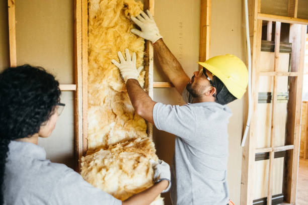 Best Spray Foam Insulation  in Lake Success, NY