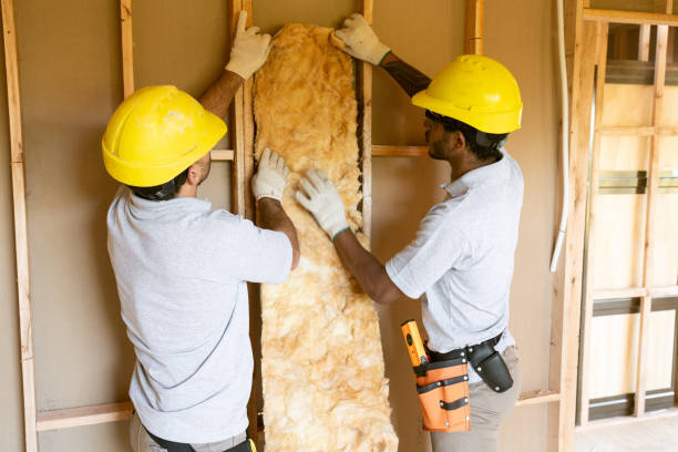 Best Local Insulation Services  in Lake Success, NY
