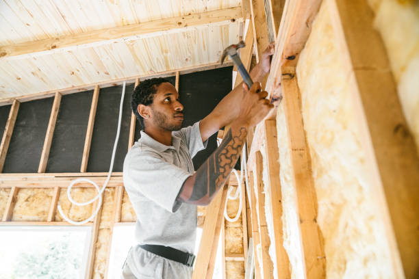 Best Insulation Repair Services  in Lake Success, NY