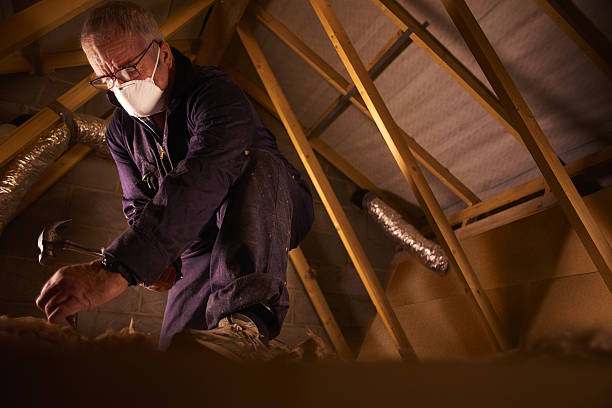 Best Energy-efficient Insulation  in Lake Success, NY