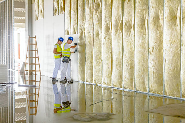 Best Wall Insulation Contractor  in Lake Success, NY